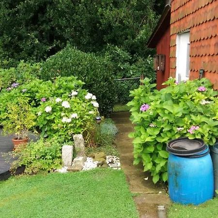 Ferienwohnung Im Waldwinkel Stadthagen Exteriér fotografie